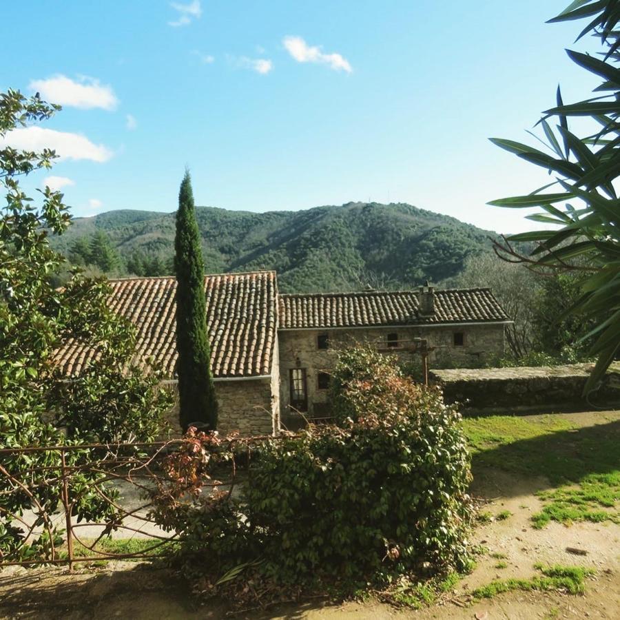 Gite Pommier Au Chateau Des Pauses Villa Saint-Andre-de-Majencoules Exterior photo